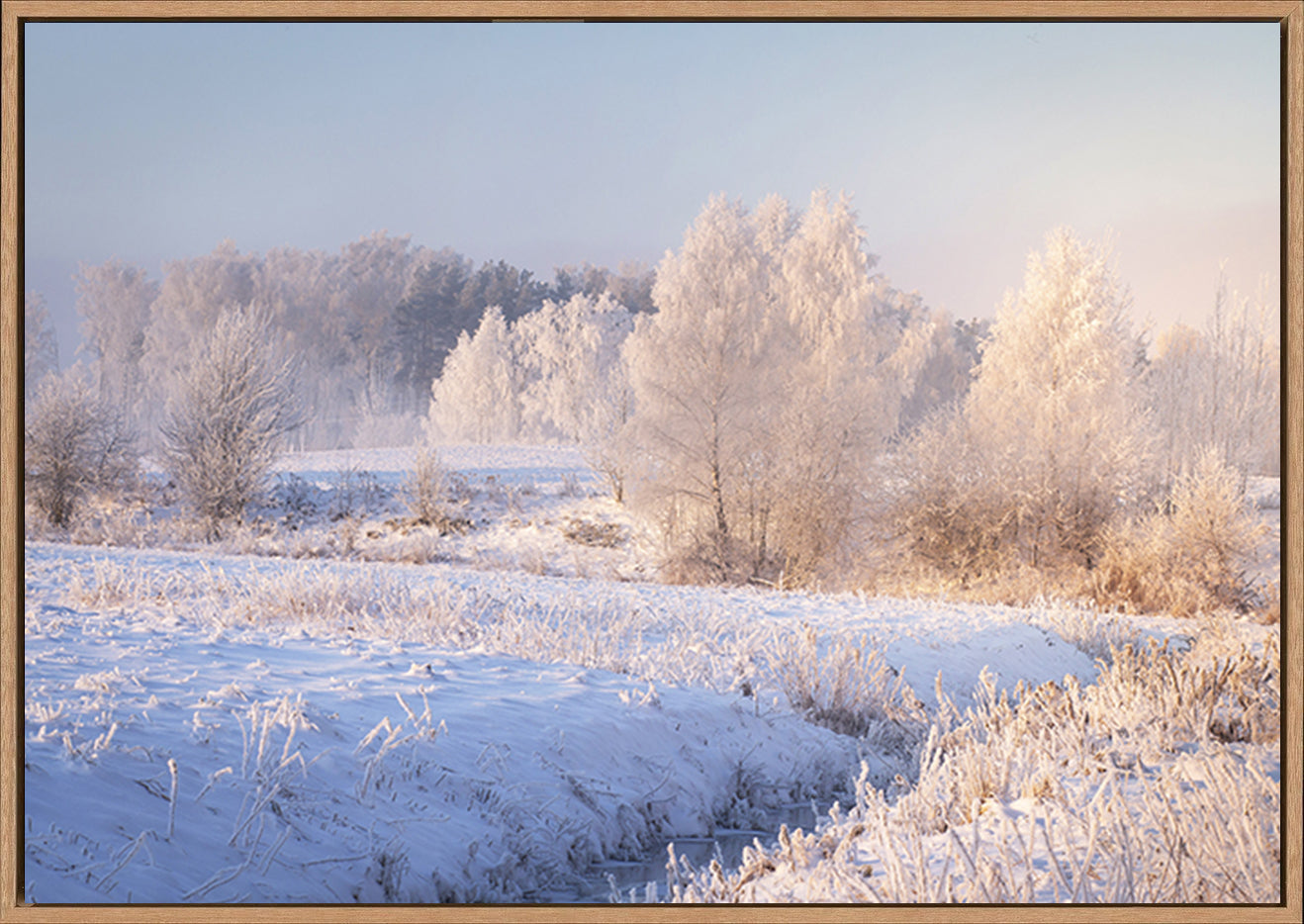 canvas_frame