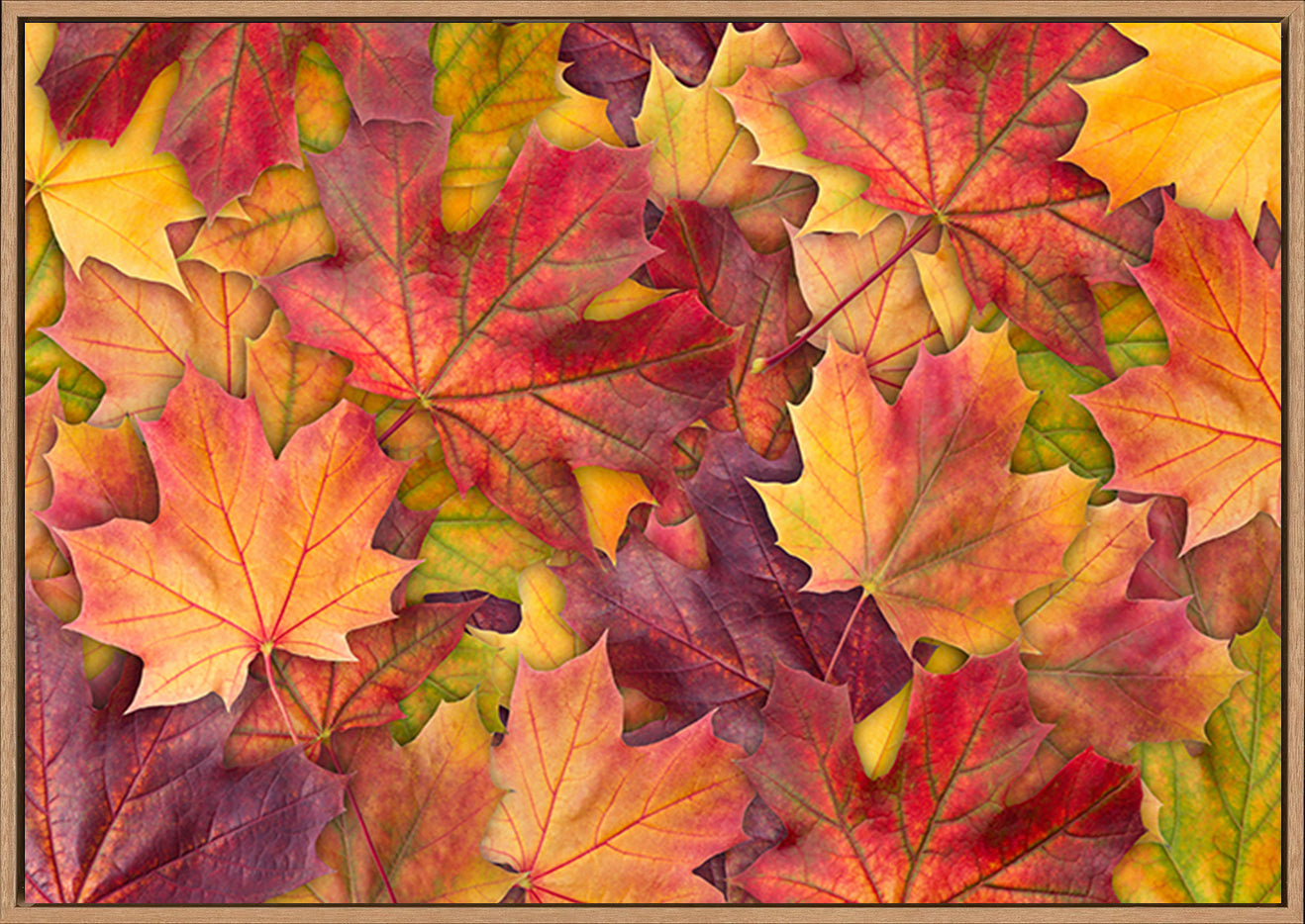 canvas_frame