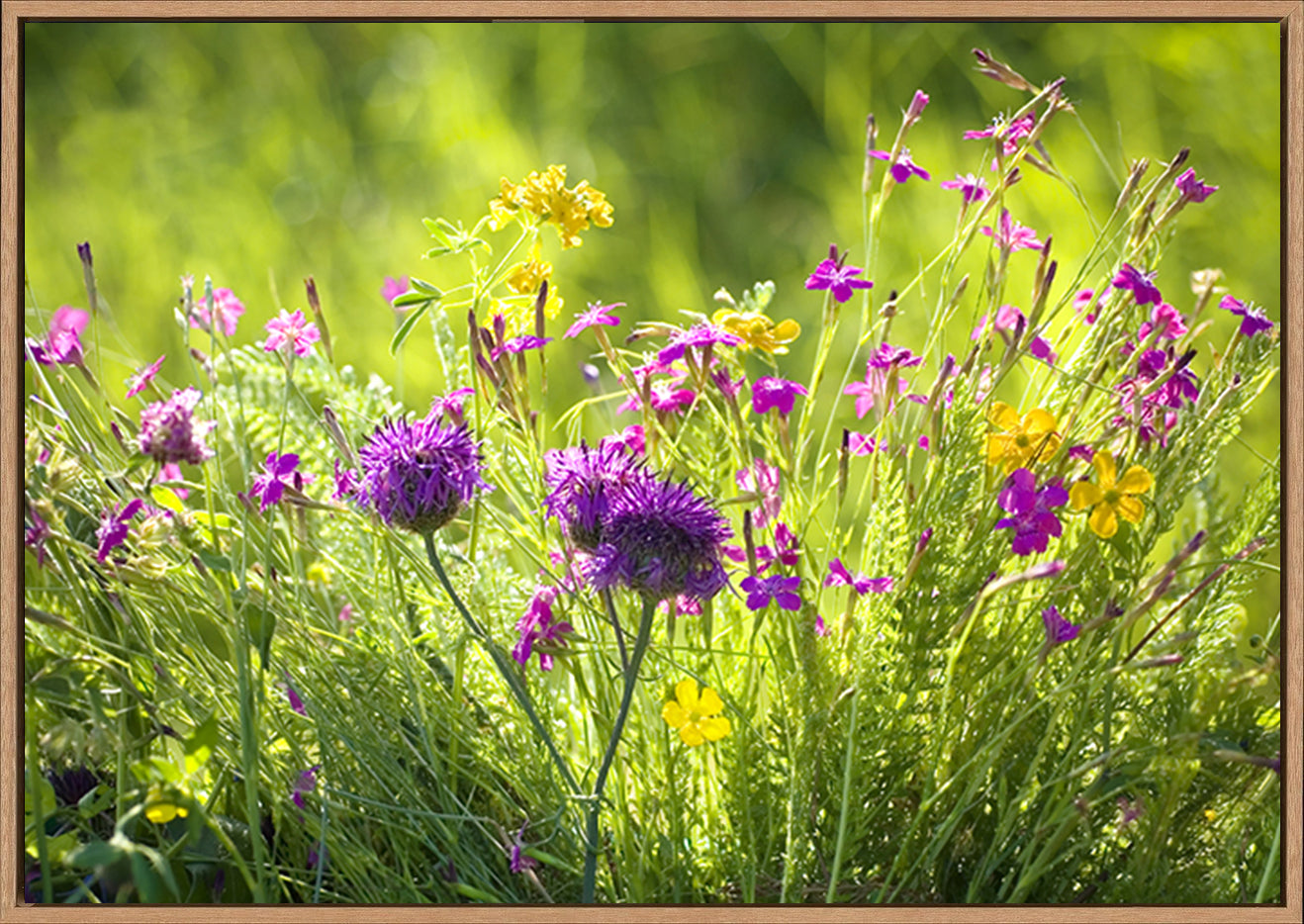 canvas_frame