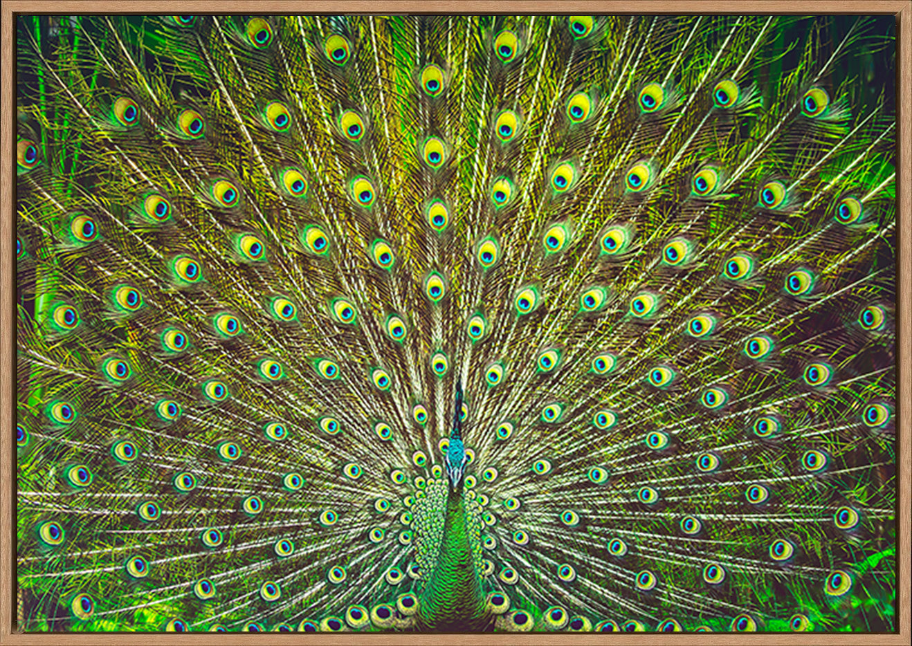canvas_frame