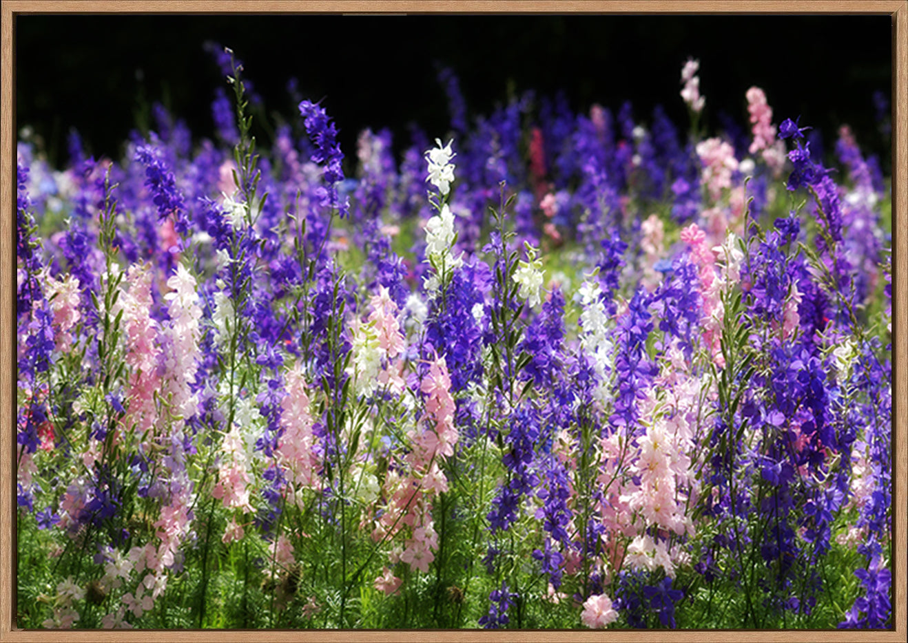 canvas_frame