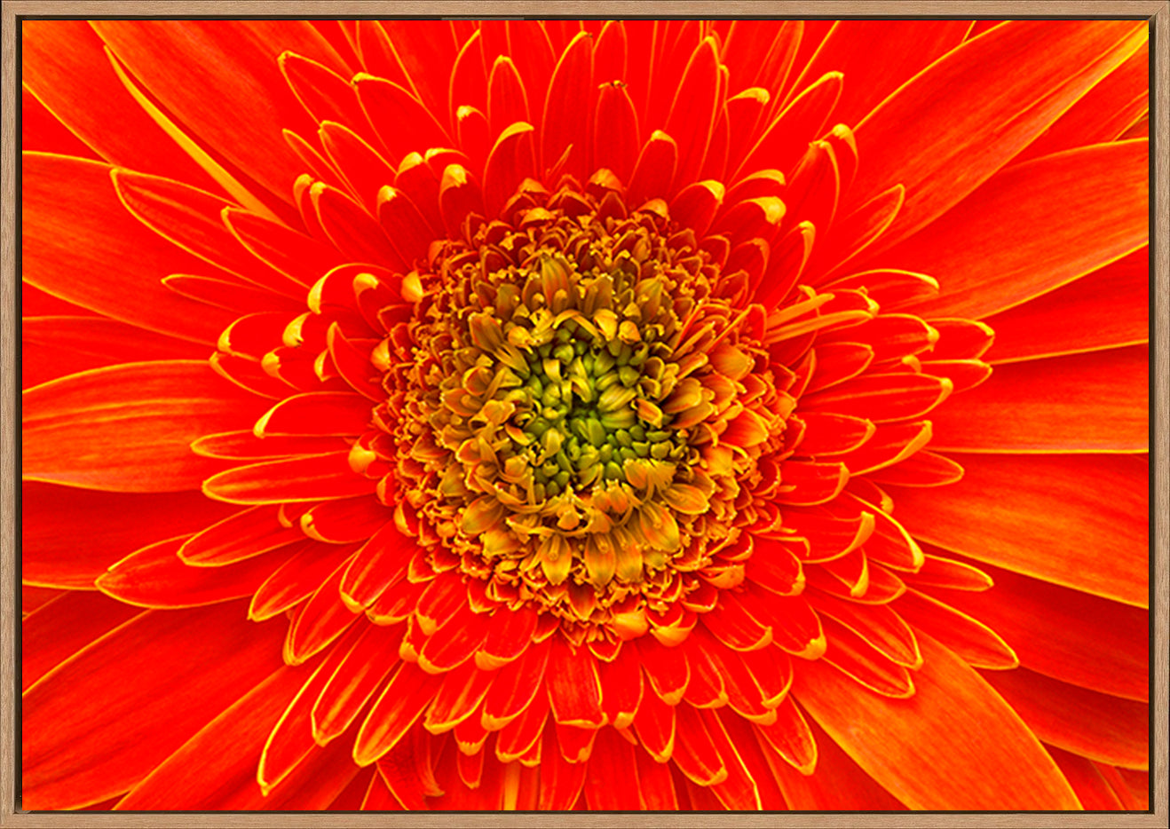 canvas_frame