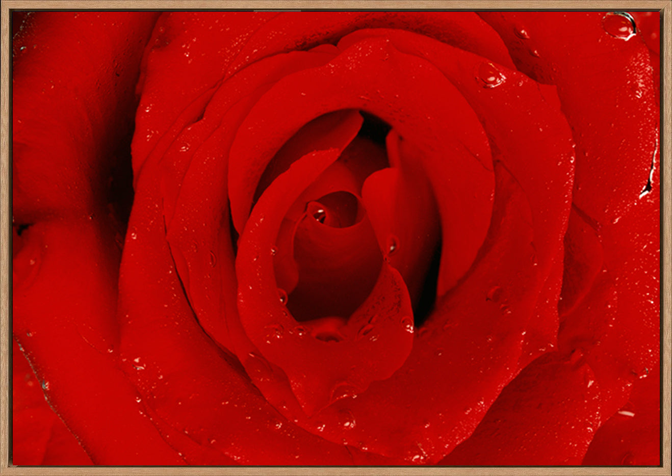 canvas_frame