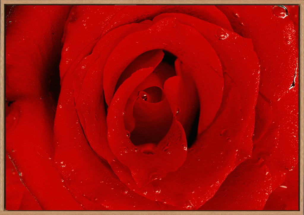 canvas_frame