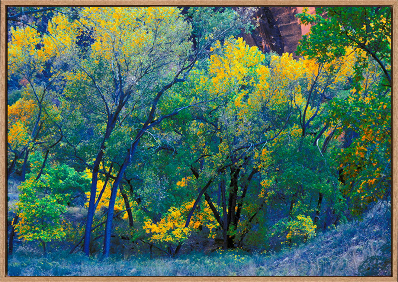 canvas_frame
