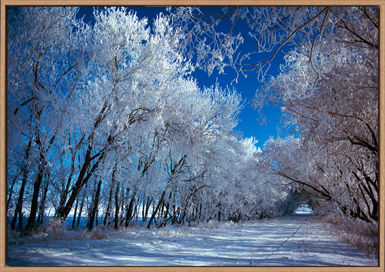 canvas_frame