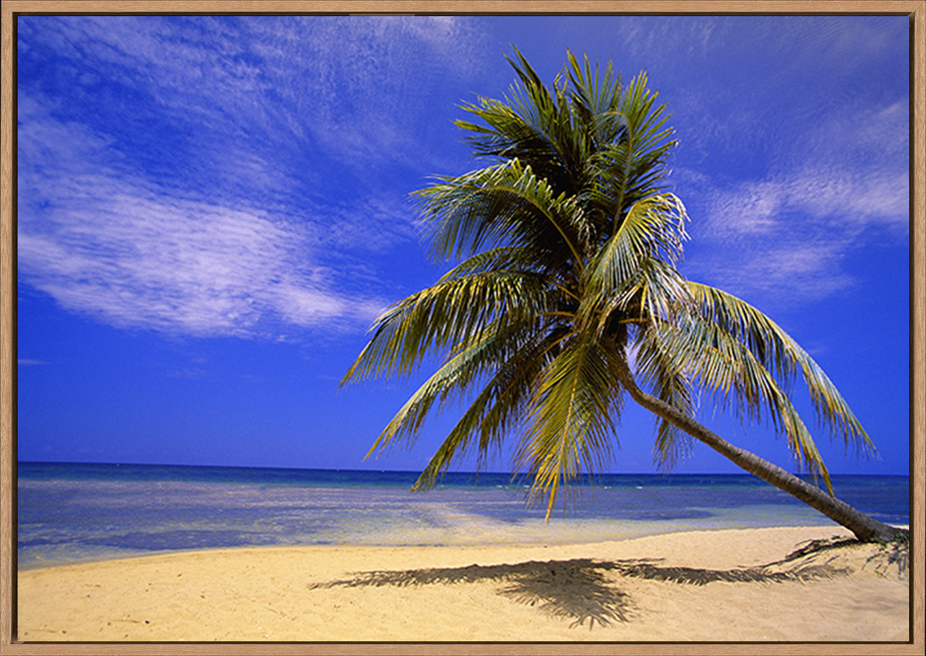 canvas_frame