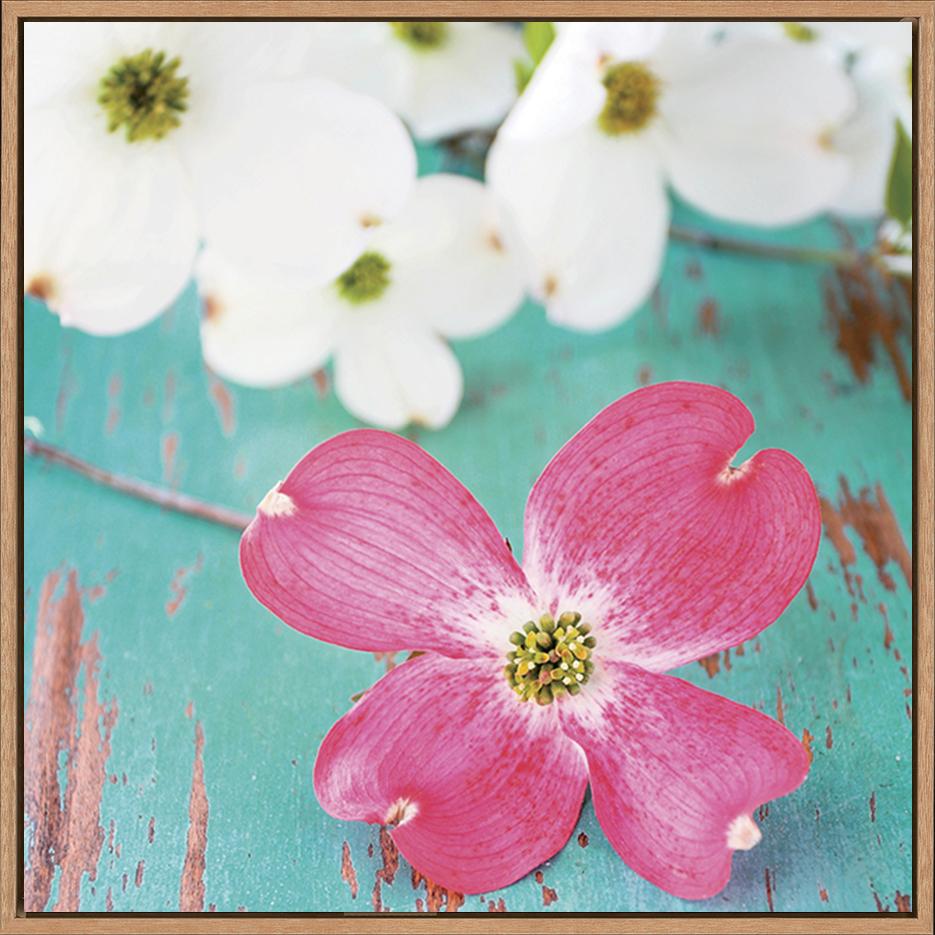 canvas_frame