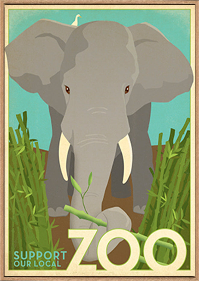 AL JOEAND116846 Zoo vintage elephant - ArtFramed