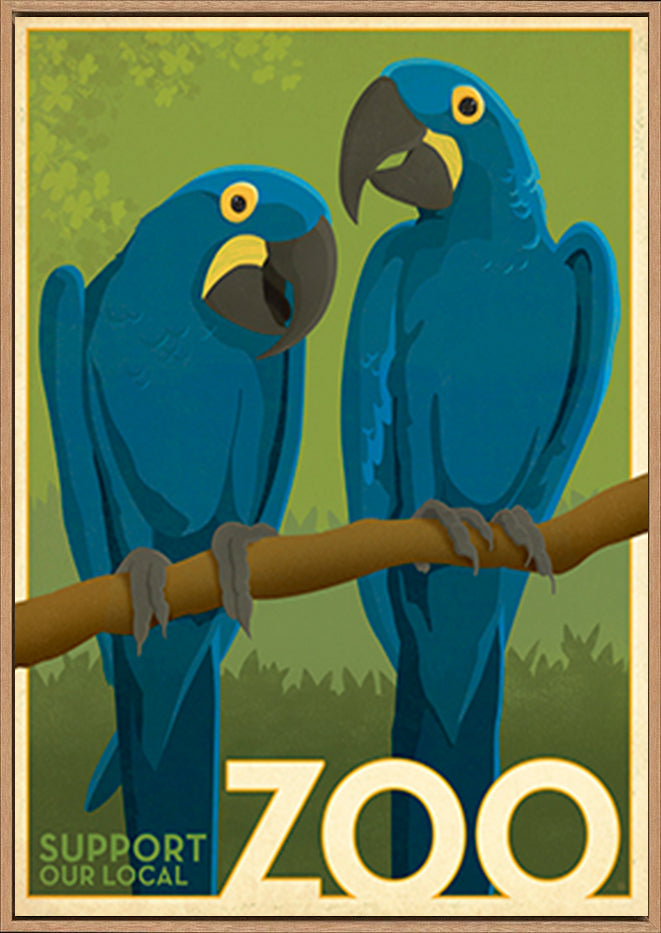 AL JOEAND116848 Zoo vintage cockatoo birds - ArtFramed