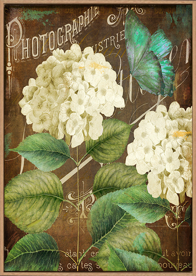 canvas_frame