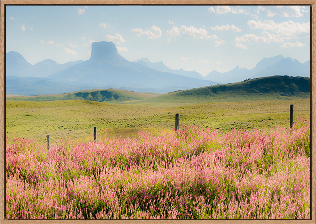 canvas_frame