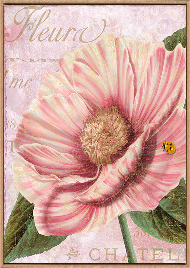canvas_frame
