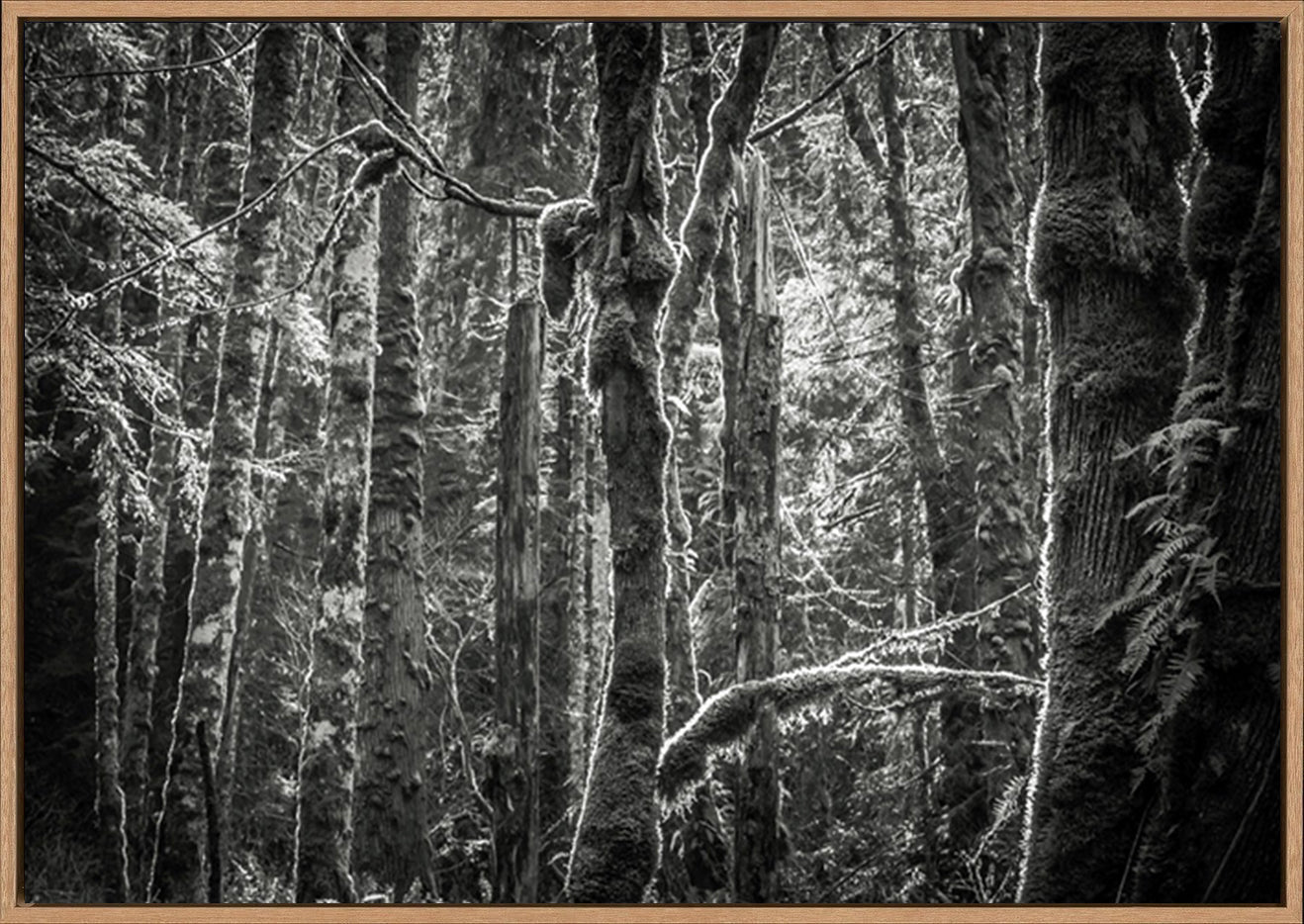 canvas_frame