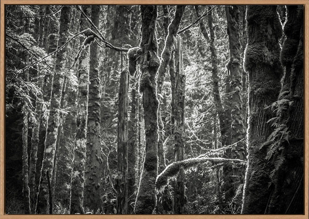 canvas_frame