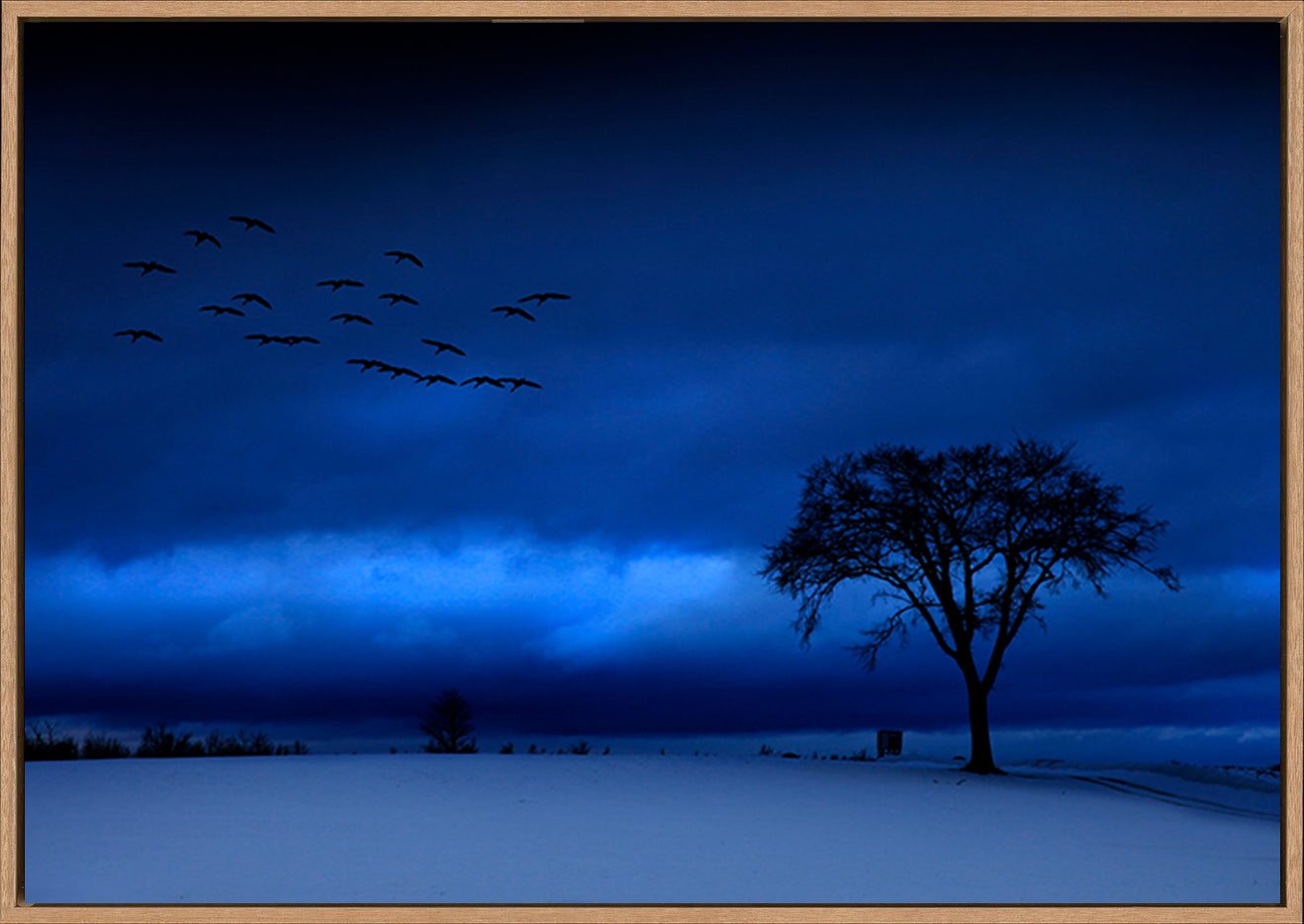 canvas_frame
