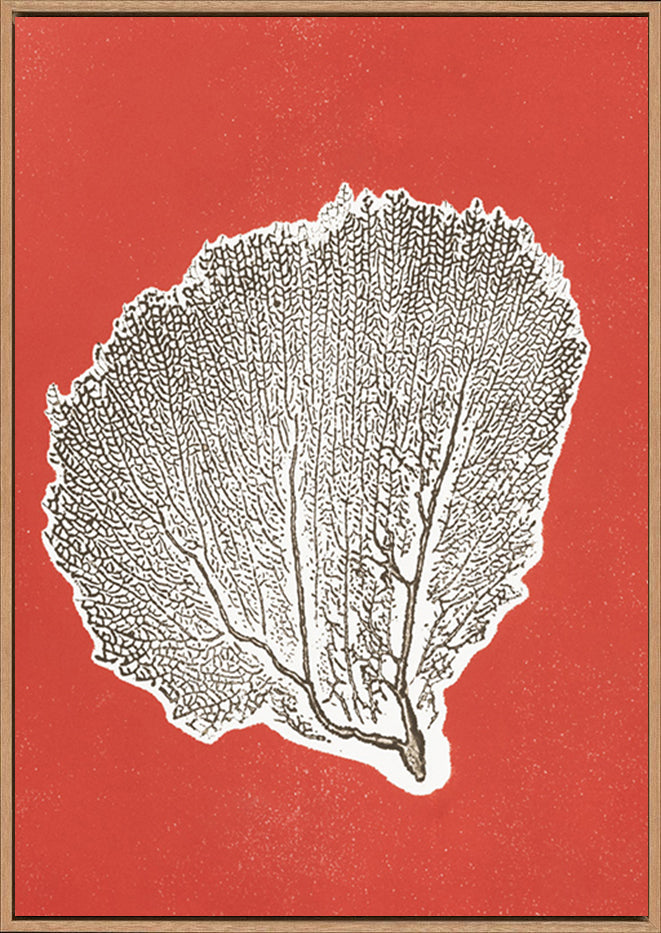 canvas_frame