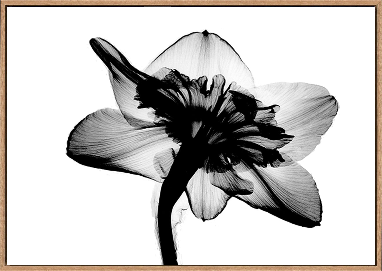 canvas_frame