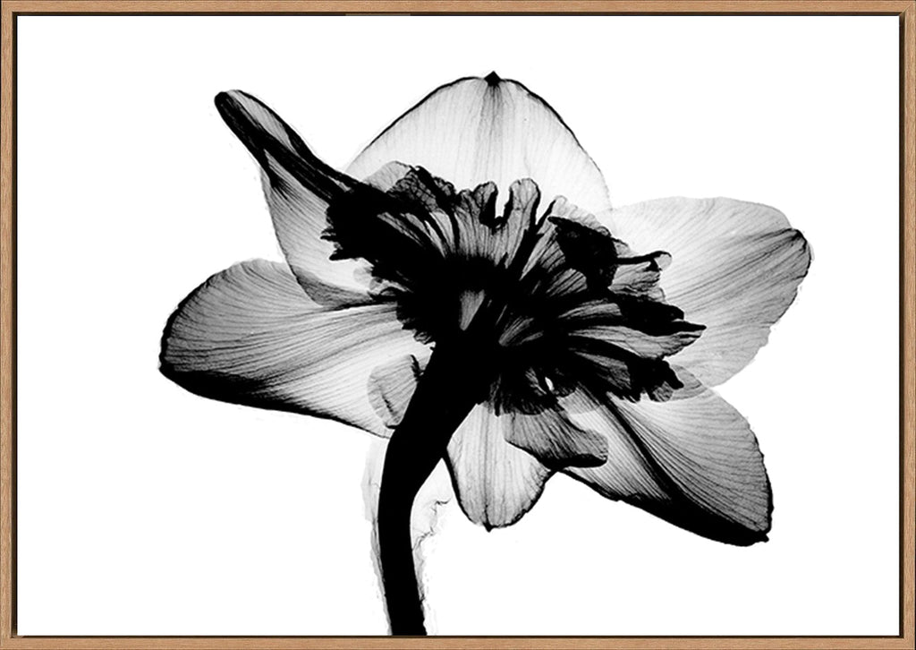 canvas_frame