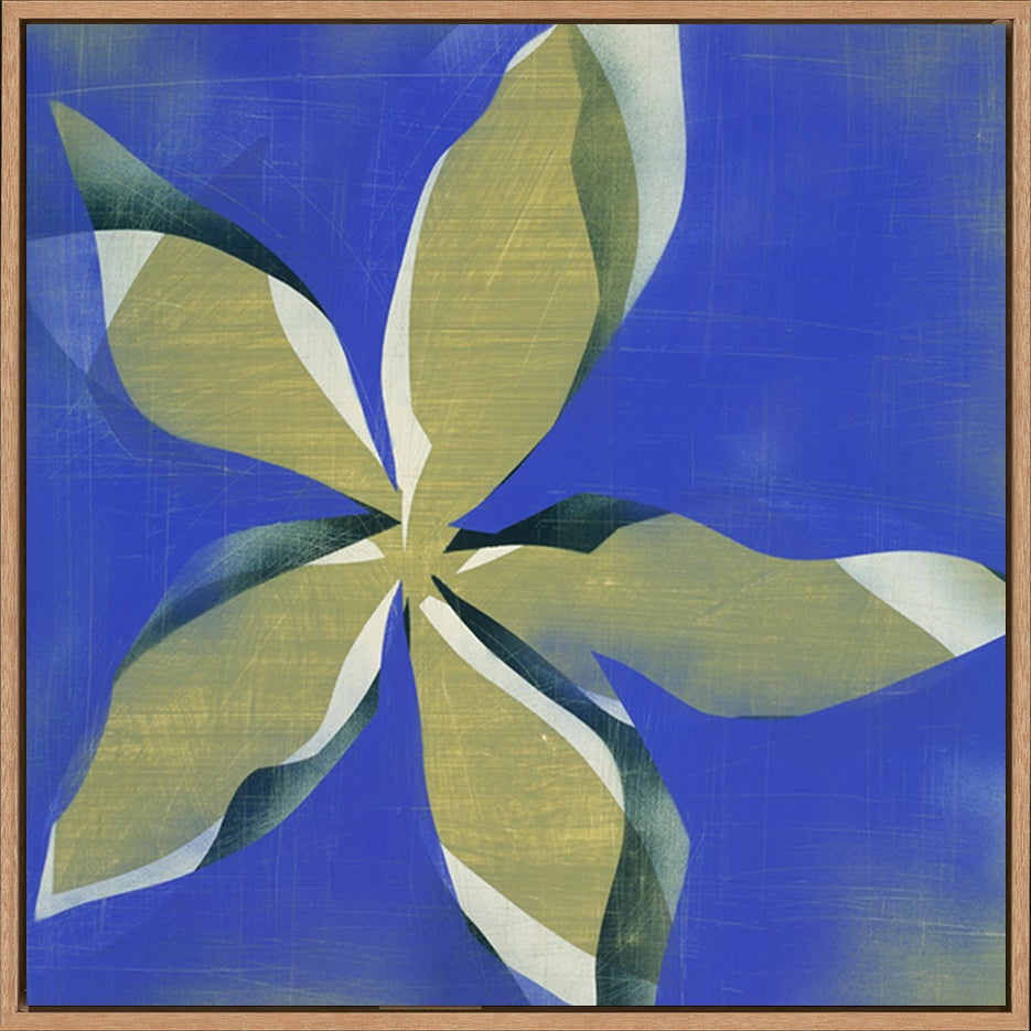 canvas_frame
