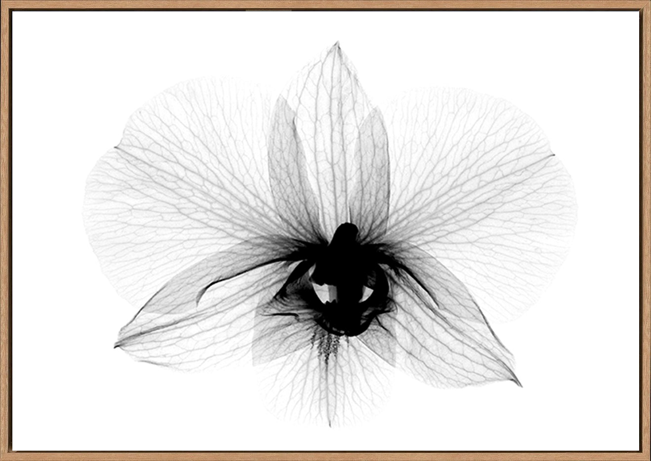 canvas_frame
