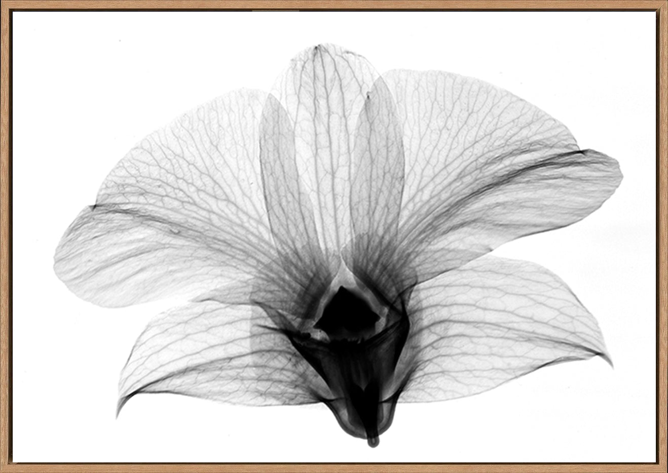 canvas_frame