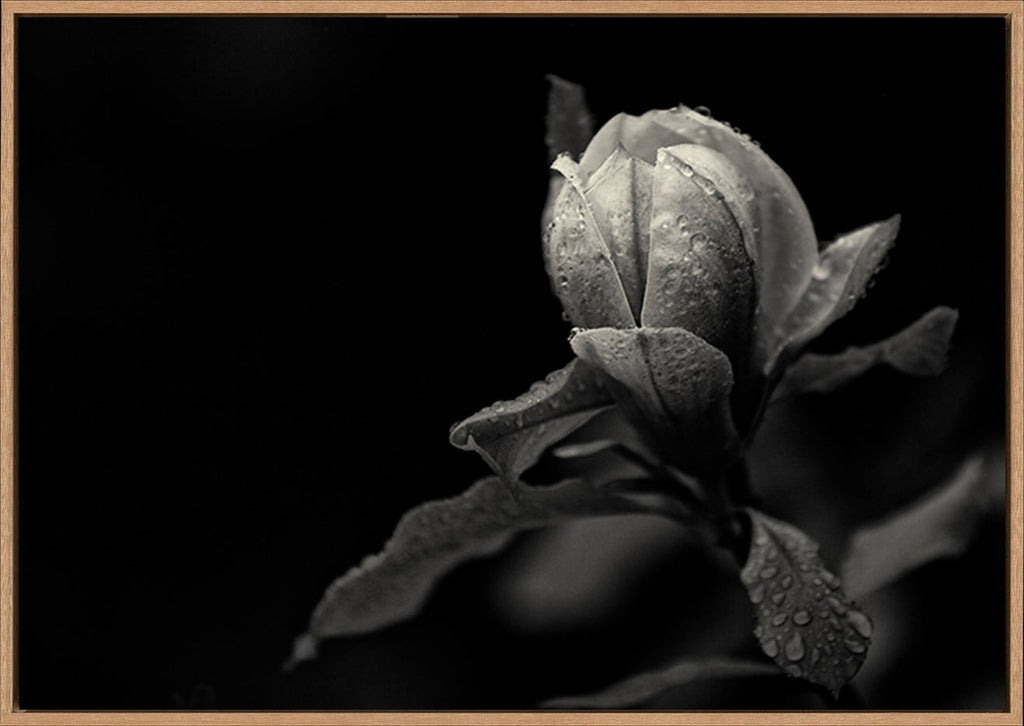 canvas_frame