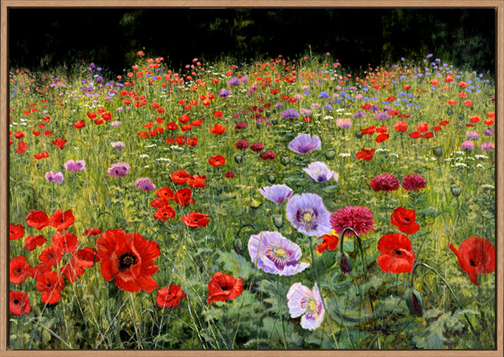 canvas_frame