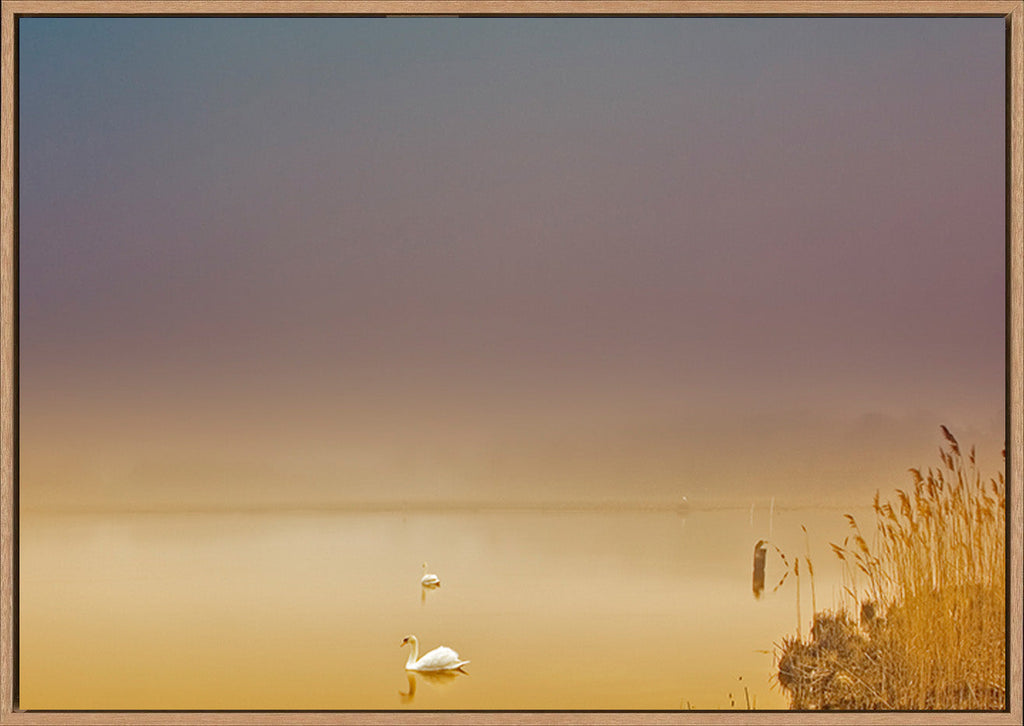 canvas_frame