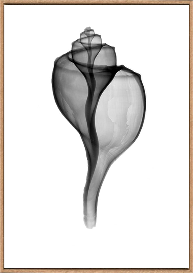 canvas_frame