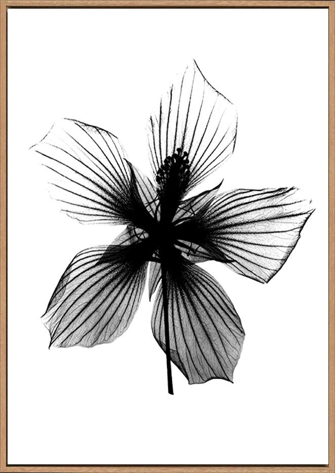 canvas_frame