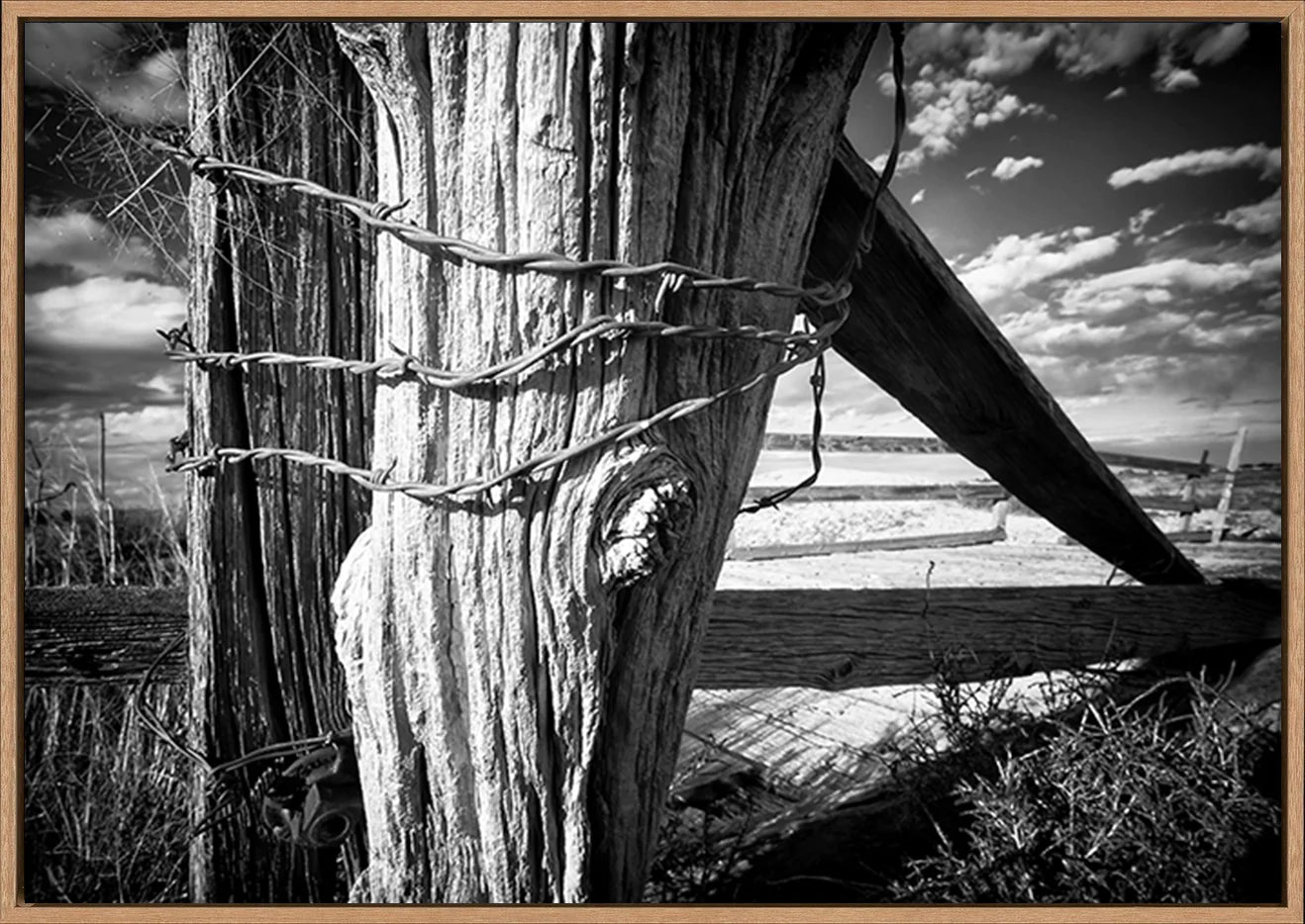 canvas_frame