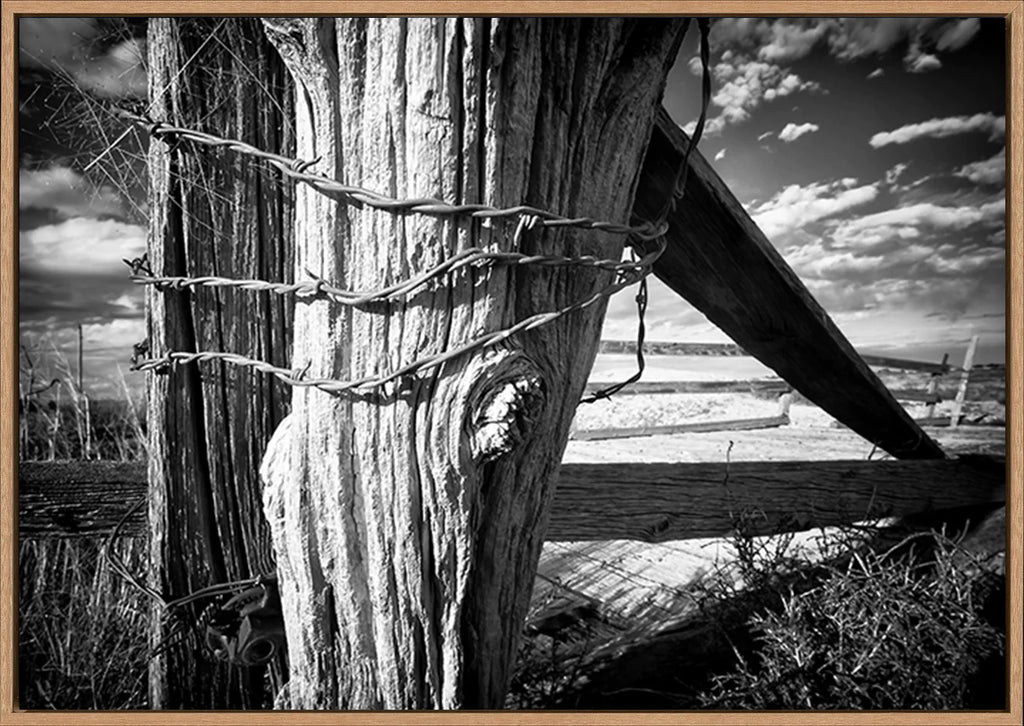 canvas_frame