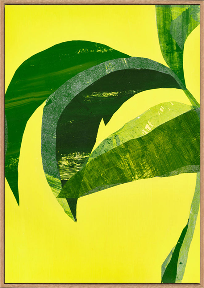 canvas_frame