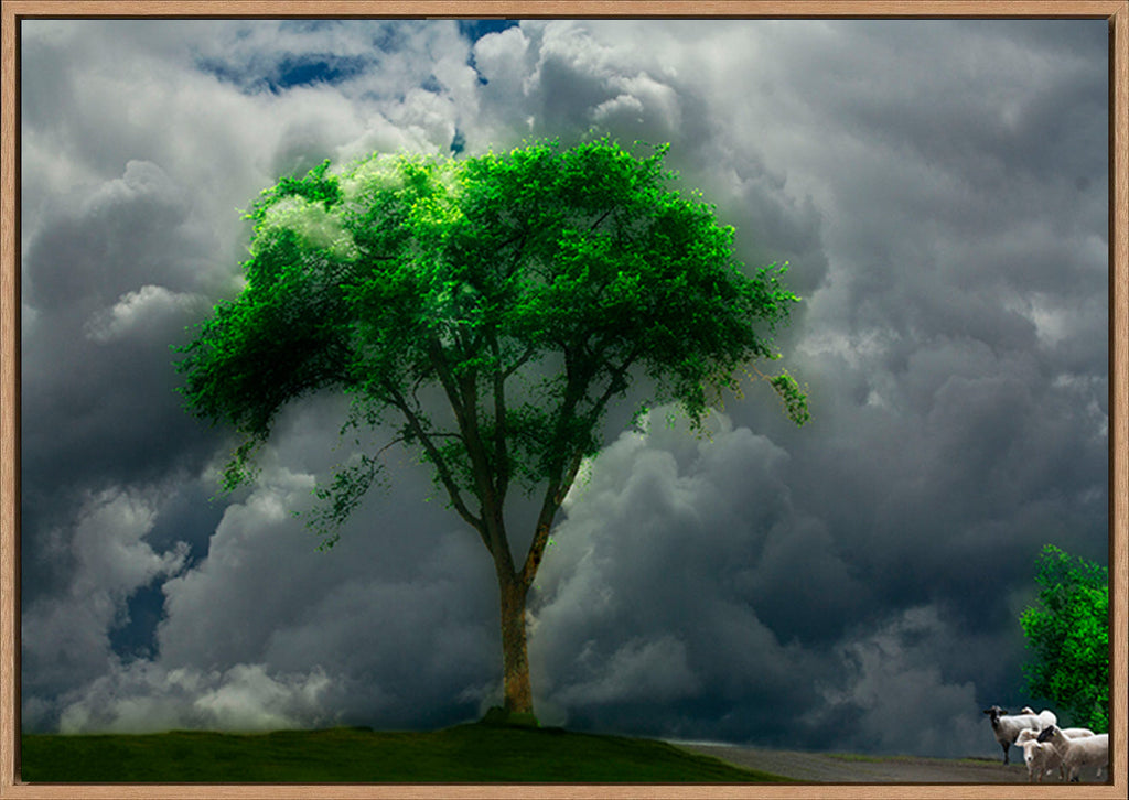 canvas_frame