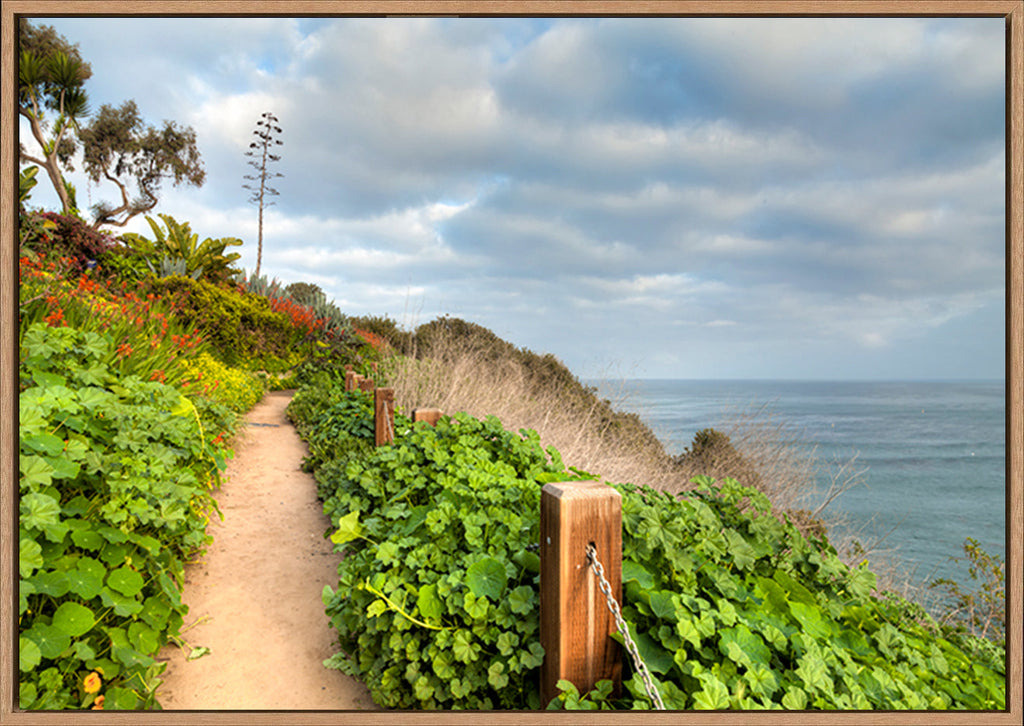 canvas_frame