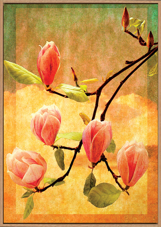 canvas_frame