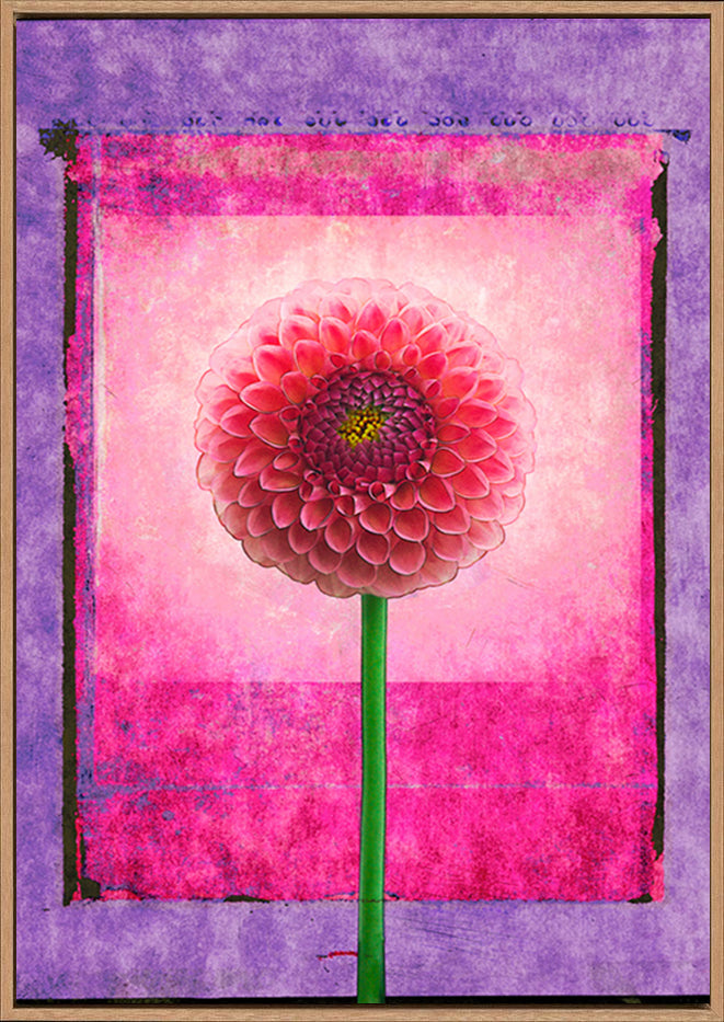 canvas_frame