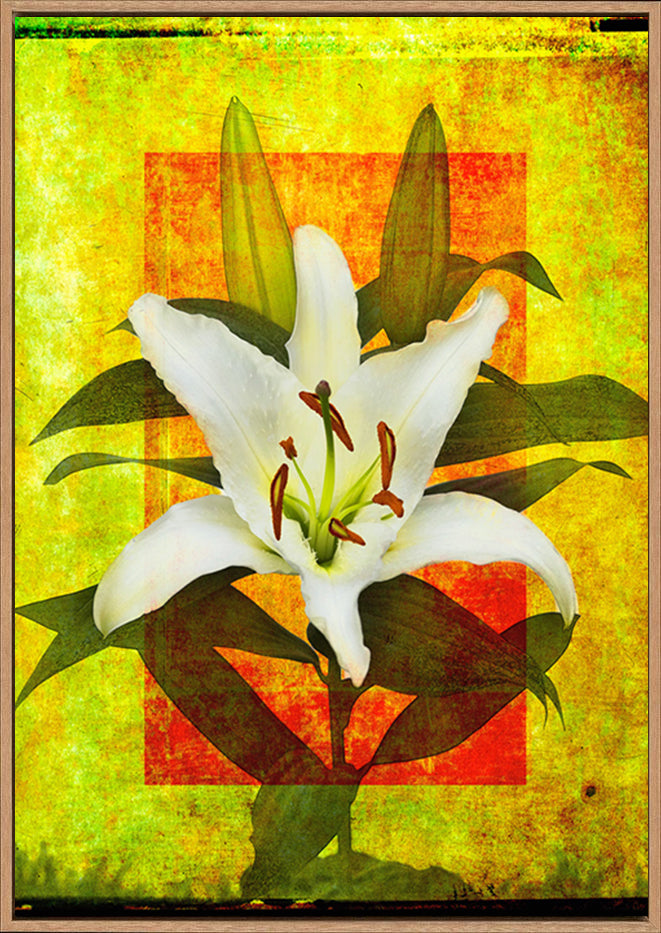 canvas_frame
