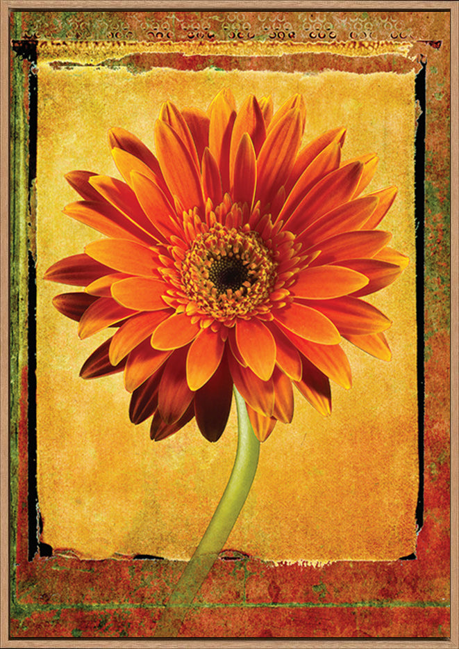 canvas_frame