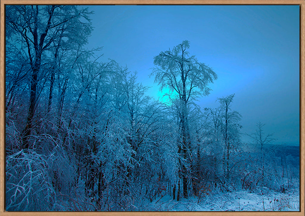 canvas_frame