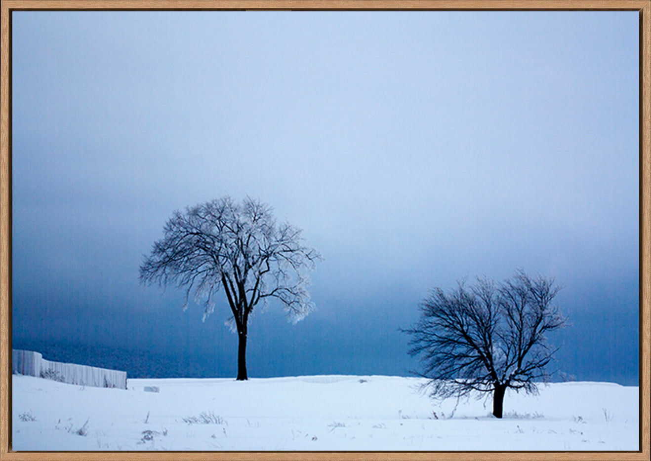 canvas_frame
