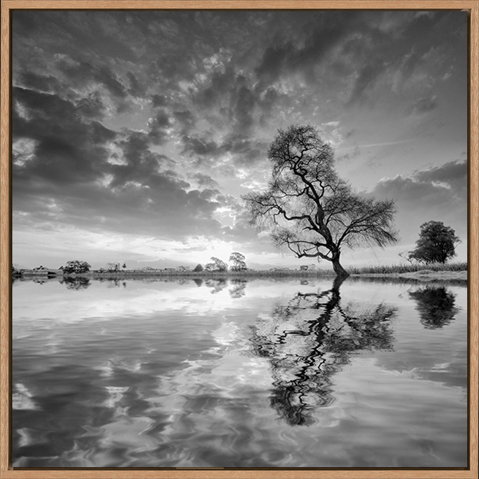 canvas_frame