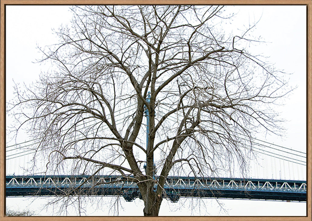 canvas_frame