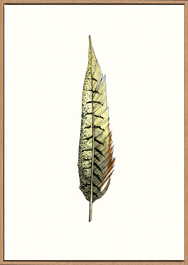 canvas_frame