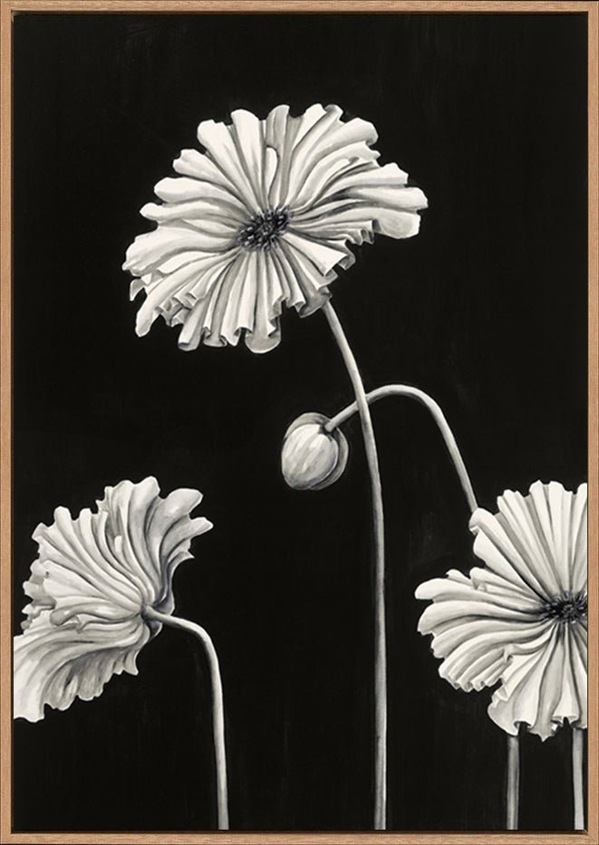 canvas_frame
