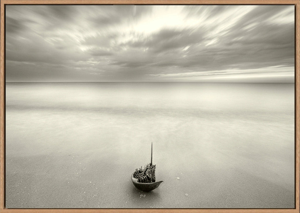 canvas_frame