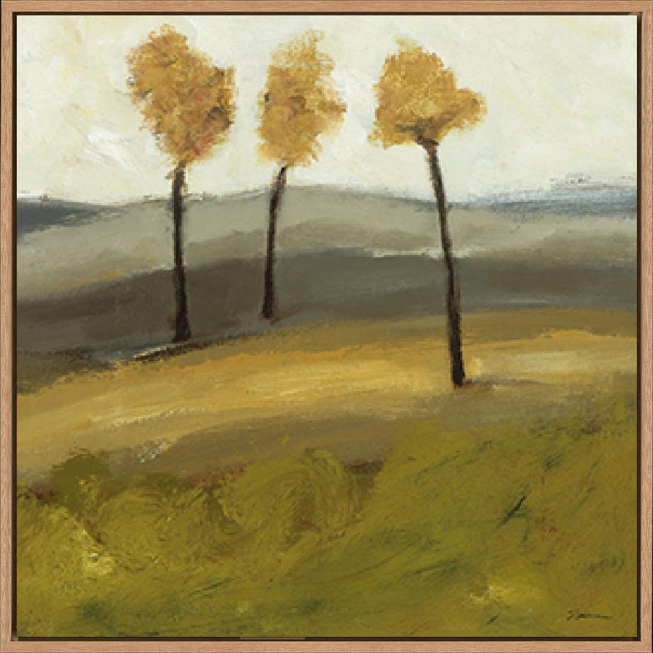 canvas_frame