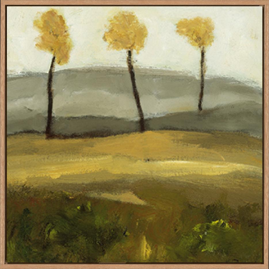 canvas_frame