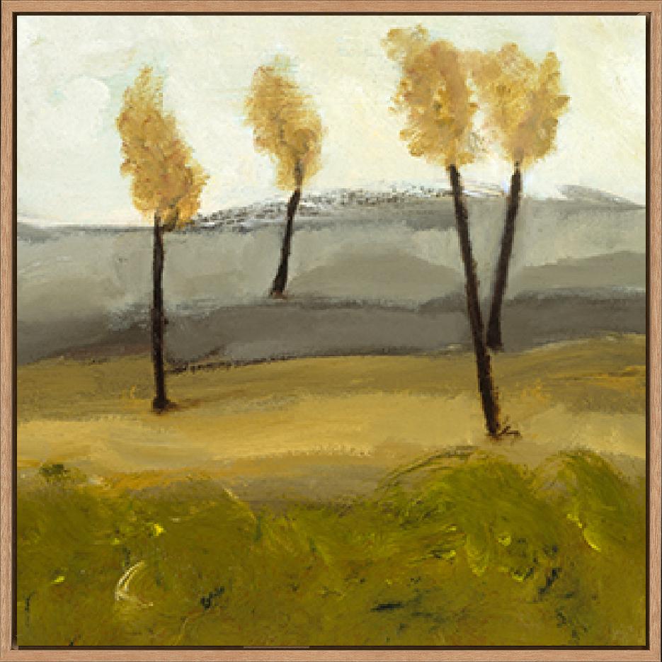canvas_frame